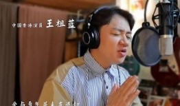 王祖蓝爆料张学友视频播放,视频播放引网友热议