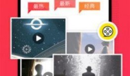 爆料西红柿的视频播放,揭秘西红柿视频播放背后的惊人数据与现象