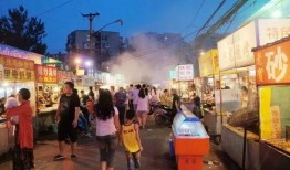 郑州夜市最新爆料,美食狂欢夜，探寻地道的街头风味