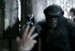 猿族崛起2在线观看,进化之战在线观影指南