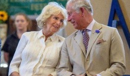 英国查尔斯爆料视频大全